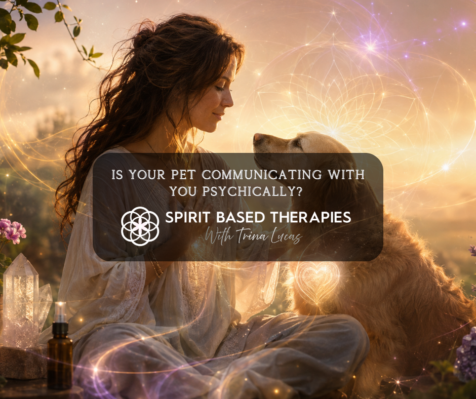 Is Your Pet Communicating With You Psychically? 💚